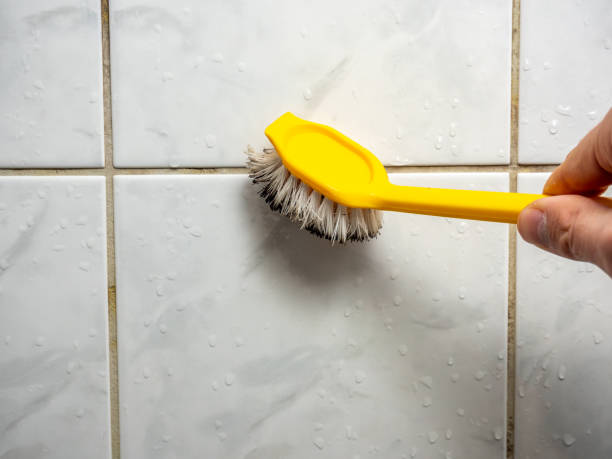 Professional Mold Removal in Walker Valley, NY