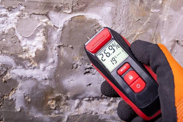 Mold Removal and Inspection in Walker Valley, NY