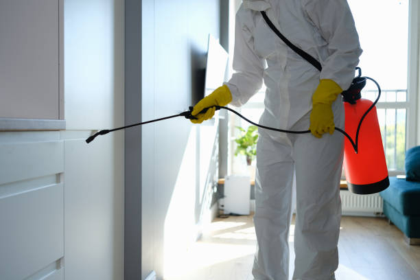 Best Office Mold Removal Services  in Walker Valley, NY