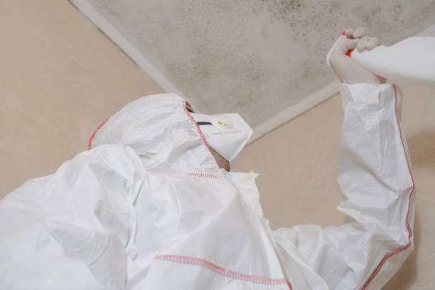 Best Certified Mold Removal  in Walker Valley, NY