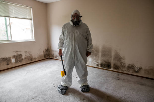 Mold Testing and Removal in Walker Valley, NY